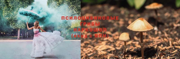 хмурый Алзамай