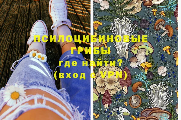 хмурый Алзамай