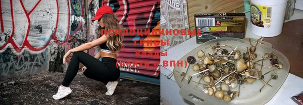 герыч Нязепетровск