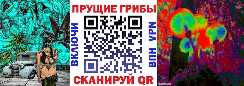 Галлюциногенные грибы мухоморы  гидра маркетплейс  Ардатов  купить наркотики цена 